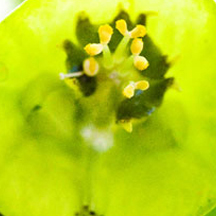 独一无二且富有创意的在线电话呼死你